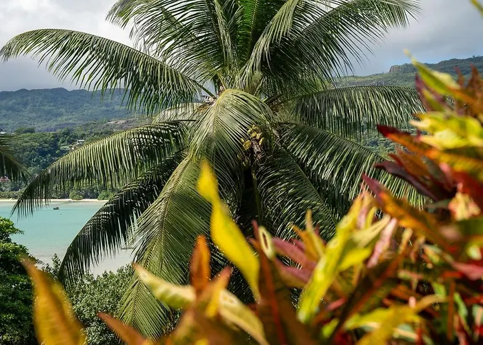 La Apartment Baie Lazare (Mahe)